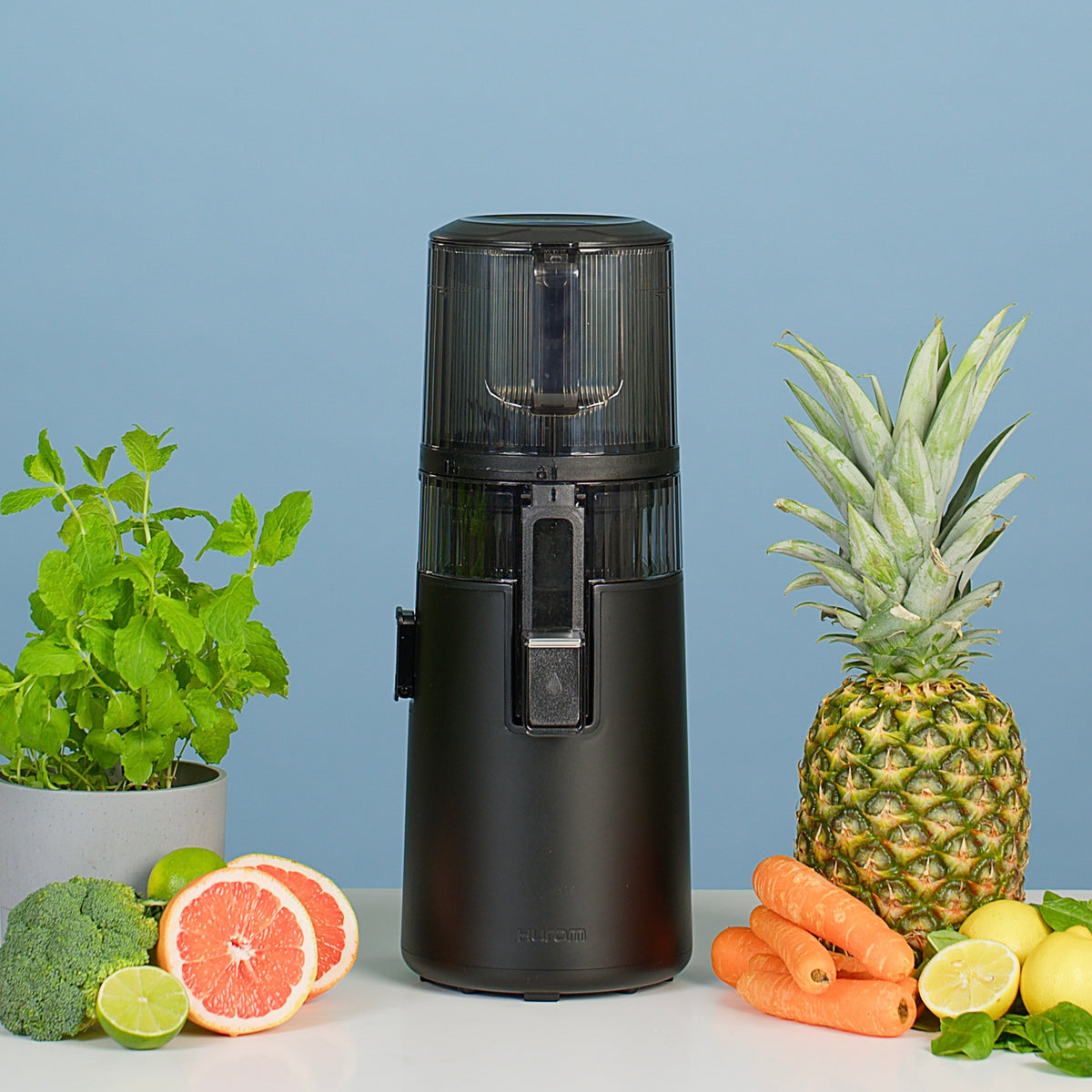 Hurom H70-FT Easy Clean slowjuicer, Sort