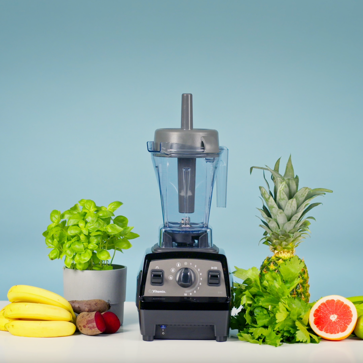 Vitamix Explorian E510