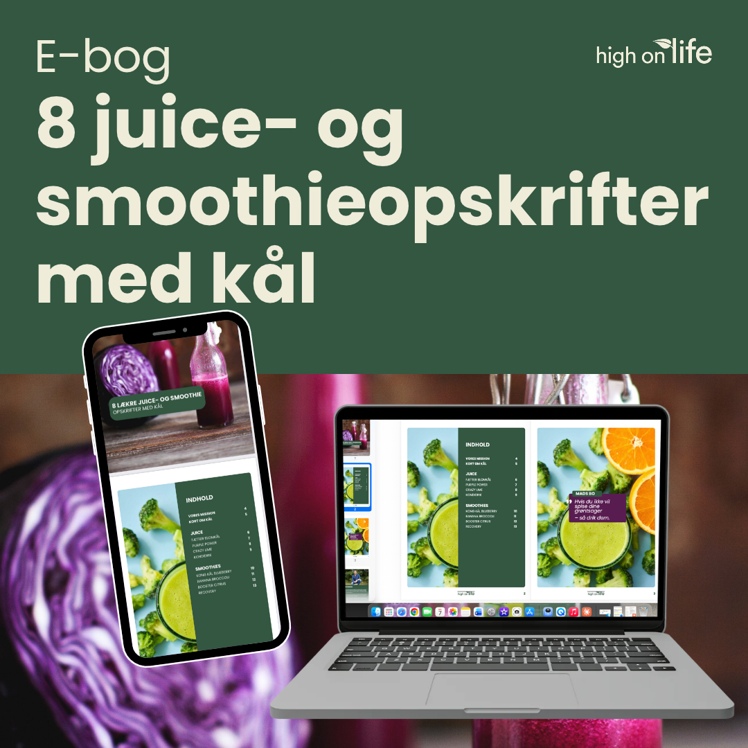 E-bog: 8 lækre juice- og smoothieopskrifter med kål