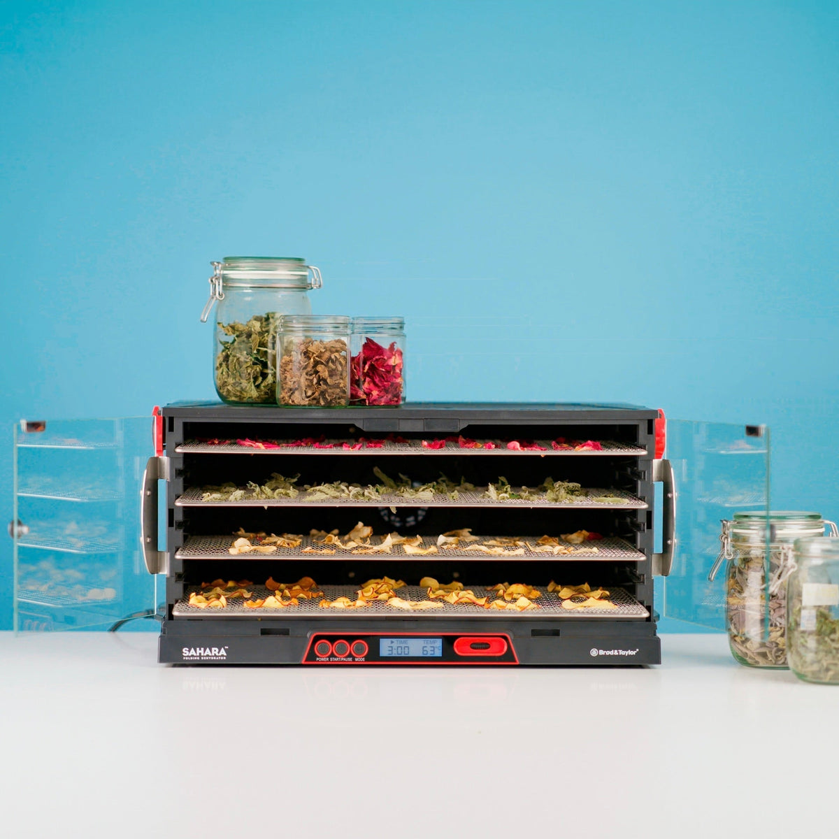 5 ting du kan lave i en dehydrator